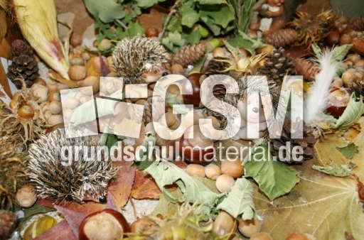 Herbstlandschaft-2.jpg